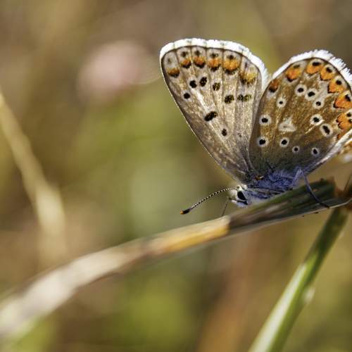 Photo #9202924