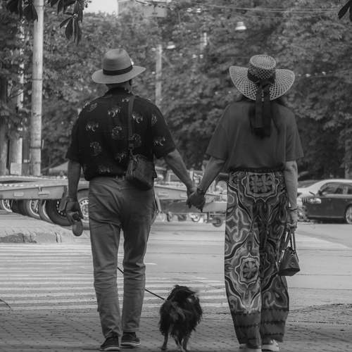Photo #9203202