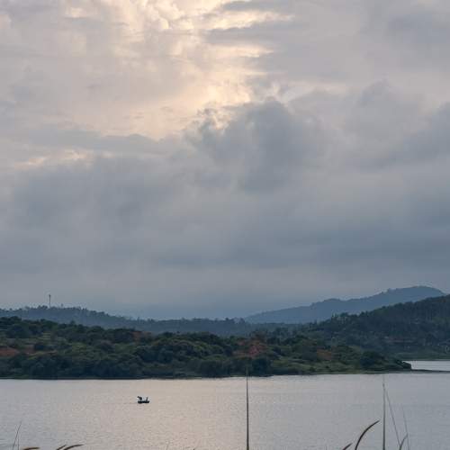 Photo #9203249