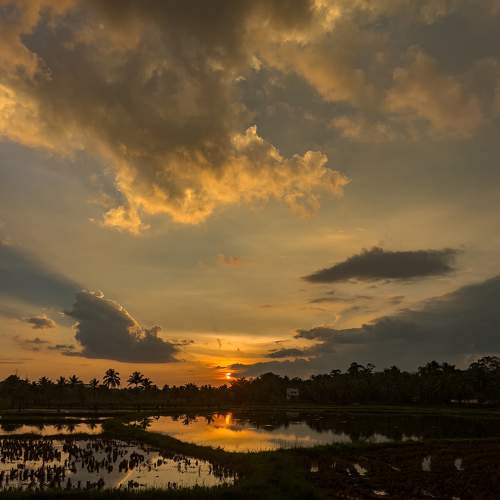Photo #9203253