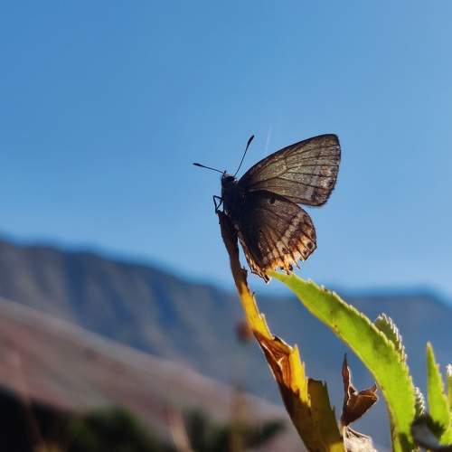 Photo #9203299