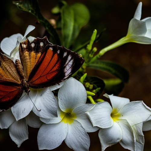 Photo #9203455