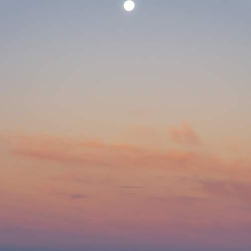 Photo #9203666