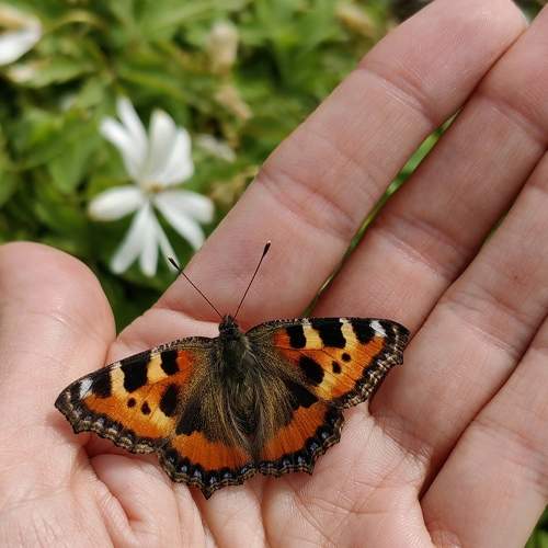 Photo #9203805