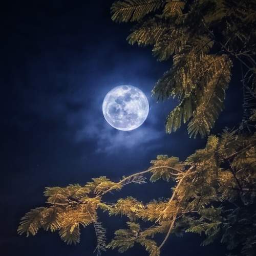 Photo #9204299
