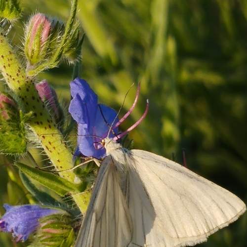 Photo #9204390