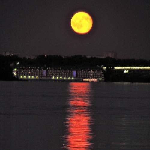 Photo #9204444