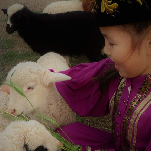 Photo #9204455