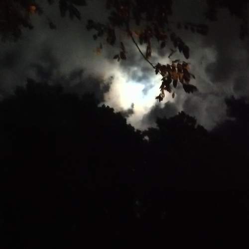 Photo #9204529