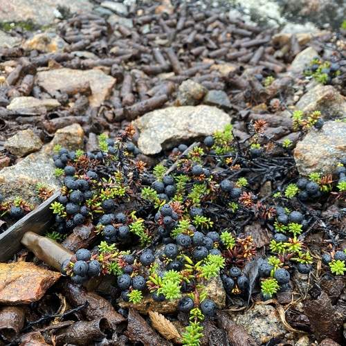 Photo #9205022