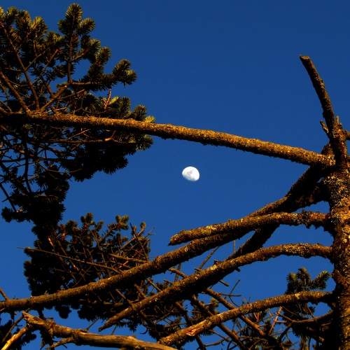 Photo #9205107