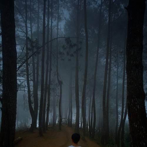 Photo #9205141