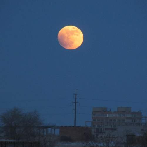 Photo #9205196