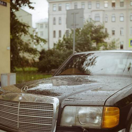 Photo #9205322