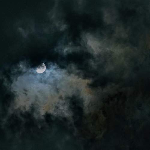Photo #9205339