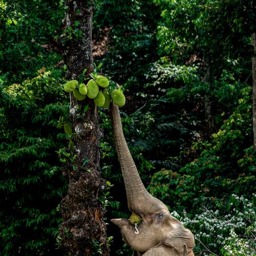 Photo #9205372