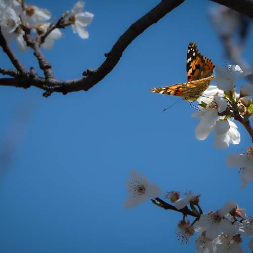 Photo #9205517