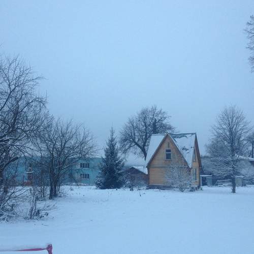 Photo #9205518