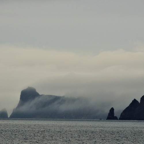 Photo #9205629