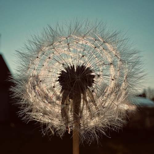 Photo #9205986