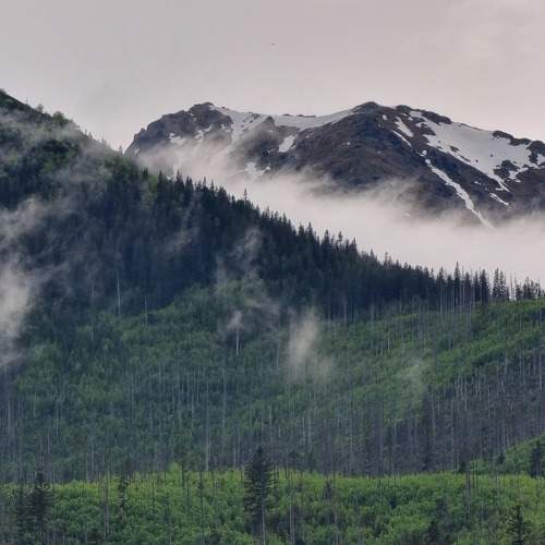 Photo #9206018
