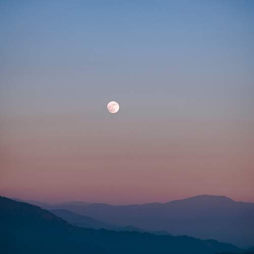 Photo #9206049