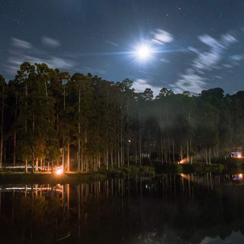 Photo #9206067