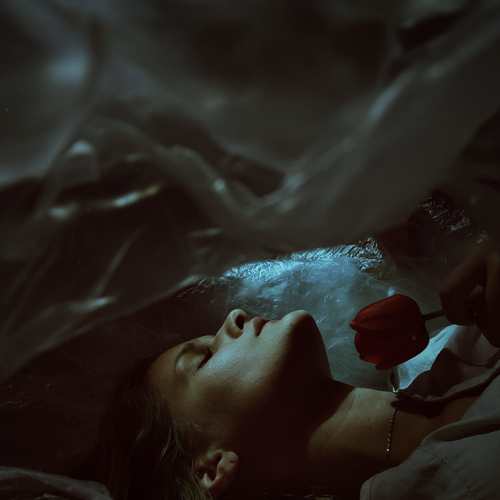 Photo #9206096