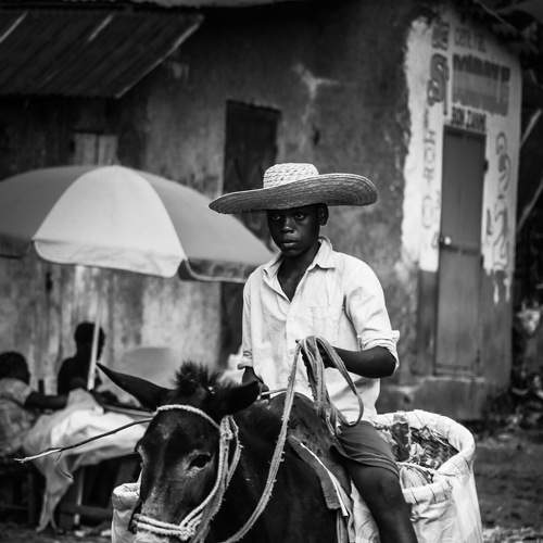 Transport