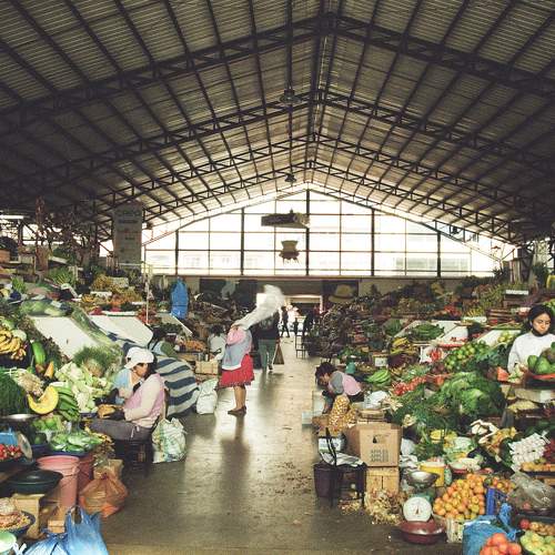 Photo #9206754