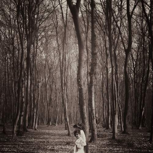 Photo #9207055
