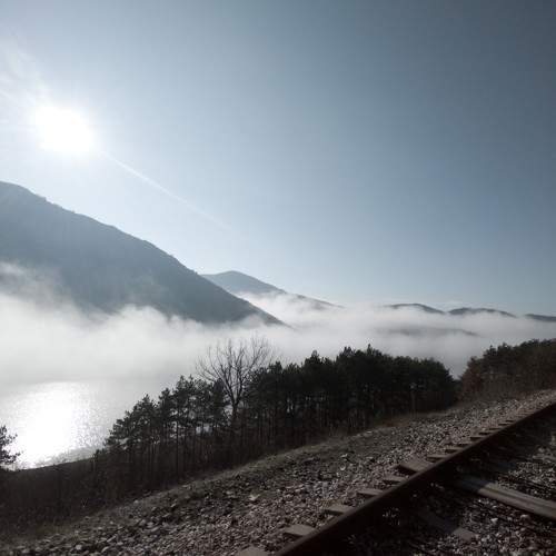 Photo #9207219