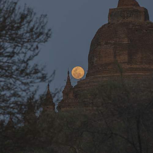 Photo #9207241