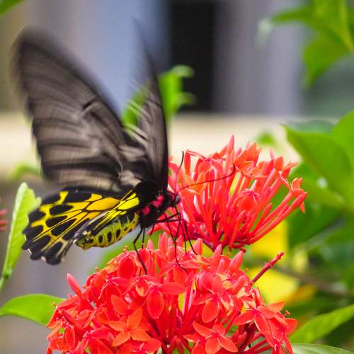 Photo #9207325