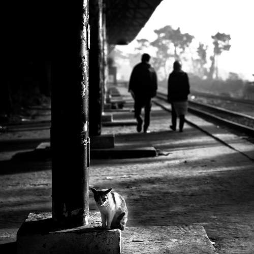 Photo #9207463