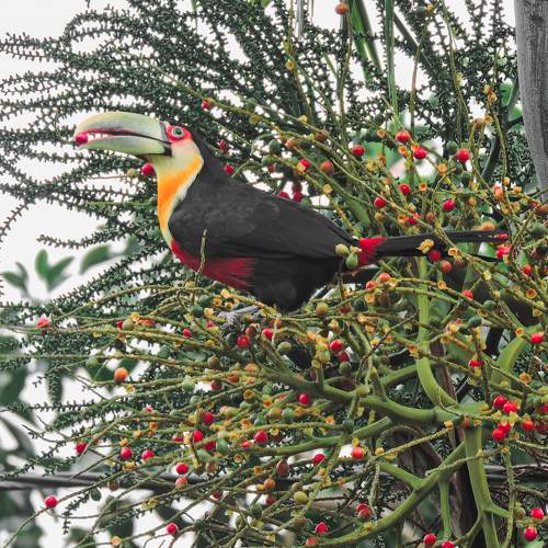 Photo #9208349