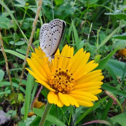 Photo #9208387