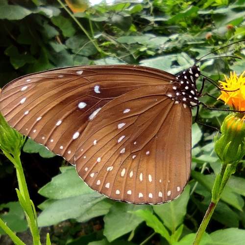 Photo #9208392