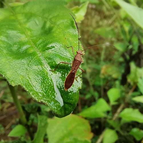 Photo #9208552