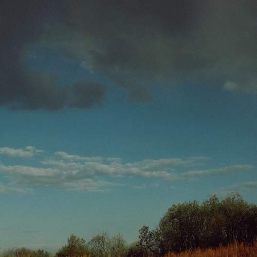Photo #9208611