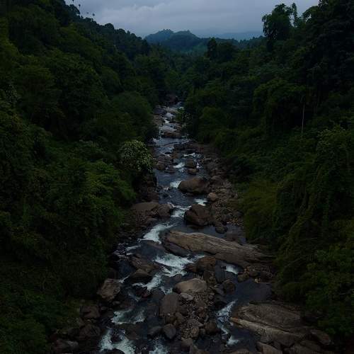 Photo #9208766