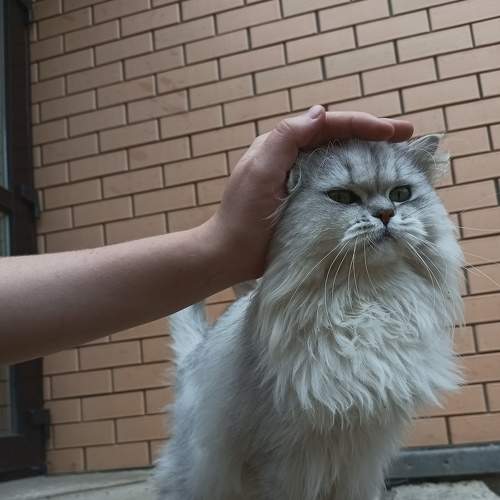 Photo #9209062