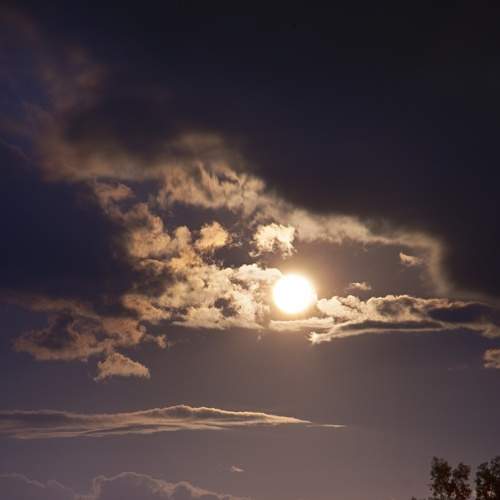 Photo #9209117