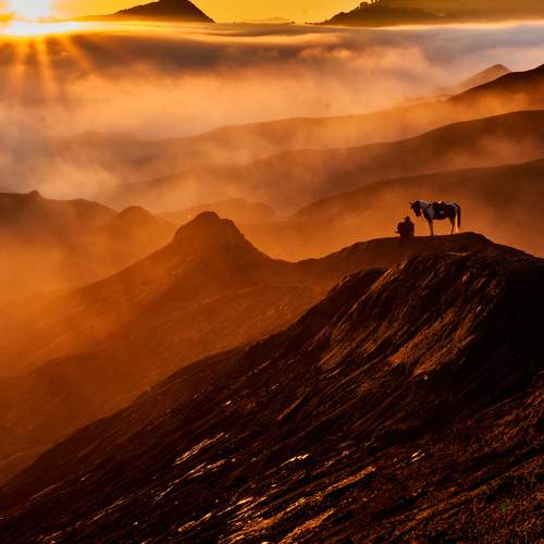Photo #9209333