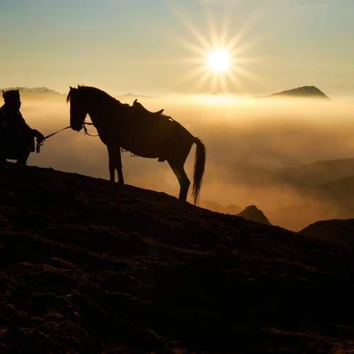 Photo #9209338