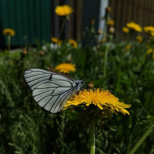 Photo #9209497