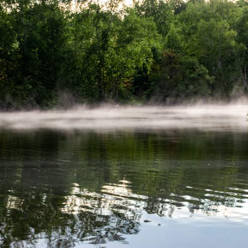 Photo #9209589