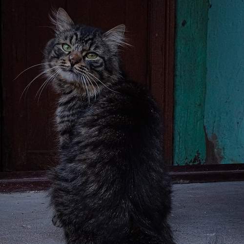 Photo #9209806