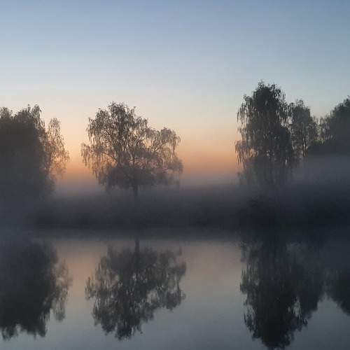 Photo #9209835
