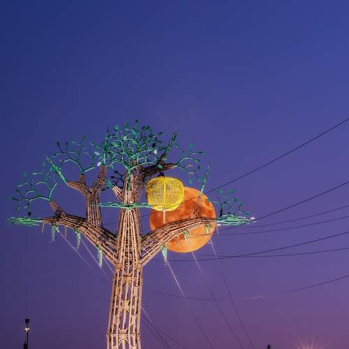 Фотография #9209987